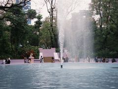 -九龙公园