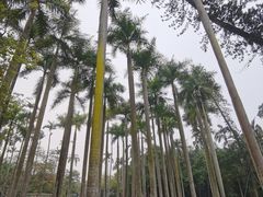 -南宁南湖公园