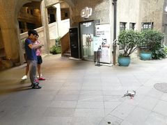 -DJI大疆专营店(1933购物中心店)