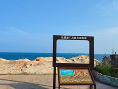 -广东惠东海龟国家级自然保护区