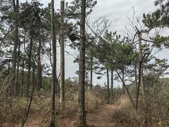 -四明山国家森林公园