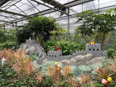 -南宫五洲植物乐园