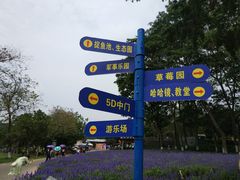 游乐设施-松山湖梦幻百花洲