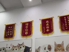 -爱侣宠医·鹦鹉专科·小型哺乳类·异宠专科(灵石路店)