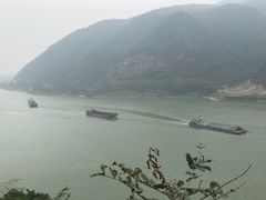-羚羊峡古栈道森林公园
