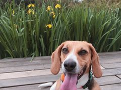 -白鹭湾湿地公园