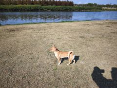 -春花秋色城市公园