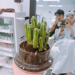 -凤五·NINE-DESIGN久设计