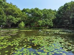 -桃花岛风景旅游区