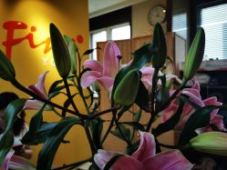 -FineYoga梵音瑜伽·普拉提