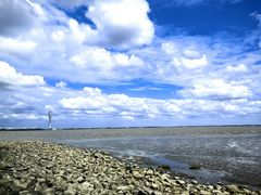 -上海吴淞炮台湾国家湿地公园