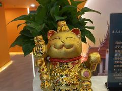 -泰古龙拨筋·spa按摩(成都环球汇店)