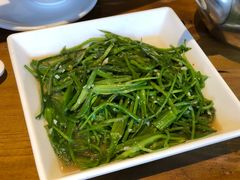 水性杨花-木王宴语·野生鲜菌火锅(玉河店)