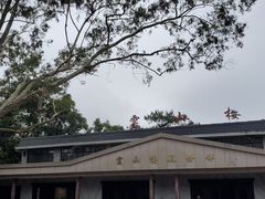 -白云山风景名胜区