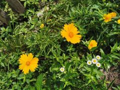 -前小桔亲子创意农场·草莓采摘·露营烧烤