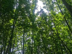 -桤木河湿地公园