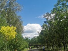-东郊湿地公园