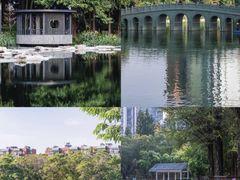 -四海公园(南山区)