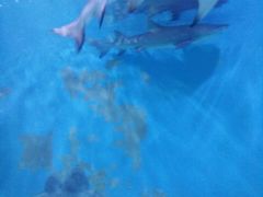 -水上乐园·欢乐世界