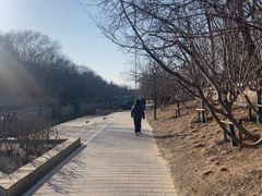 -元大都城垣遗址公园