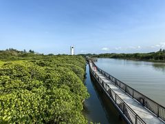 -东寨港红树林旅游区