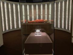 -上海中国航海博物馆