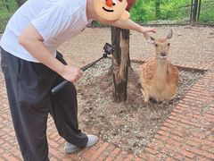 -南戴河国际娱乐中心