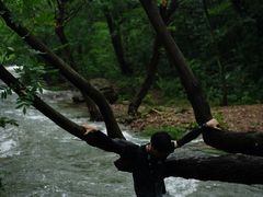 -铜陵市铜官山森林公园