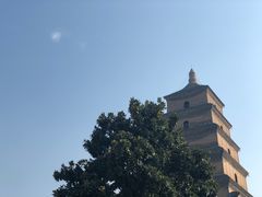 -大慈恩寺(大雁塔)