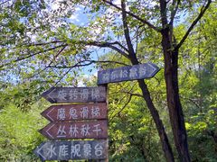 -欢乐松鼠谷