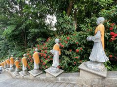 -西双版纳勐泐文化旅游区