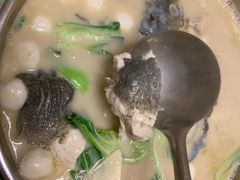 -丁老爷子苏香圆