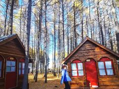 -塞罕坝国家级自然保护区