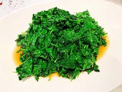 -蝶园·装修中(BFC外滩金融中心店)