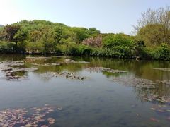 -白马涧龙池景区