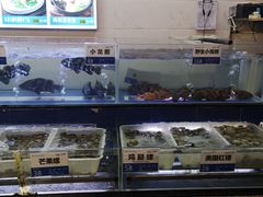 -欢乐海岸美食联盟
