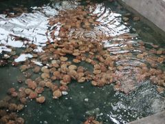 -阔澜蒸汽海鲜自助