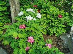 -处女泉风景名胜区