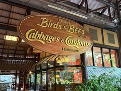 -卷心菜和避孕套餐厅(Pattaya)