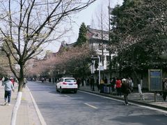-鸡鸣赐茶(鸡鸣寺路店)