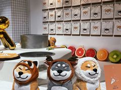 -柴务处·柴犬主题狗咖