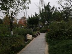 -成飞公园