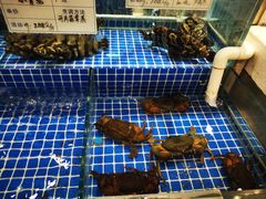 -海鲜城大家餐厅