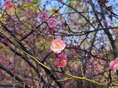 -东钱湖小普陀景区