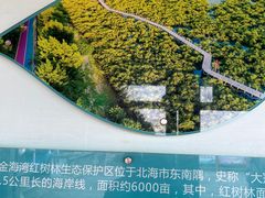 -北海金海湾红树林生态旅游区