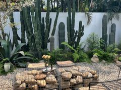 -自由生长植物工作室(深港花卉中心店)