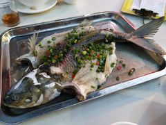 山坑鲩鱼-飞尝蚝·顺德菜·鱼生(顺德总店)
