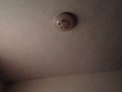 -林记开心动物奶油生日蛋糕(江南春晓店)