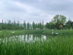 -南北湖风景区