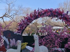 -北陵公园